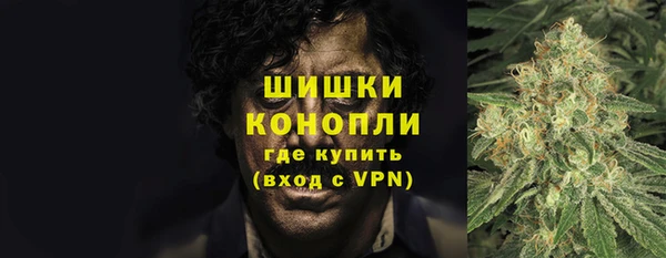 молекула духа Белоозёрский