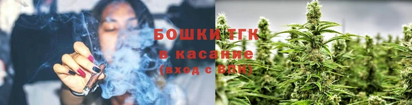 молекула духа Белоозёрский