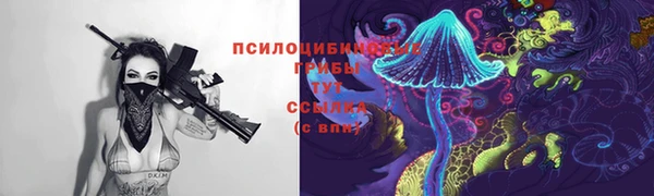молекула духа Белоозёрский
