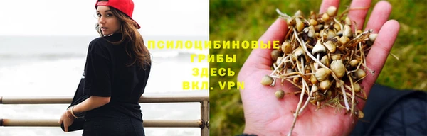 молекула духа Белоозёрский